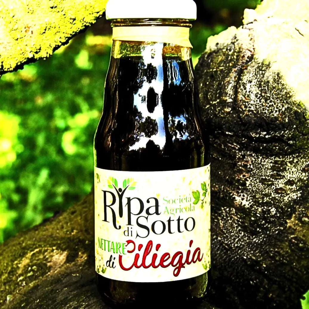Nettare di Ciliegia 200 ml glass bottle with 90% cherry pulp juice by Ripa di Sotto