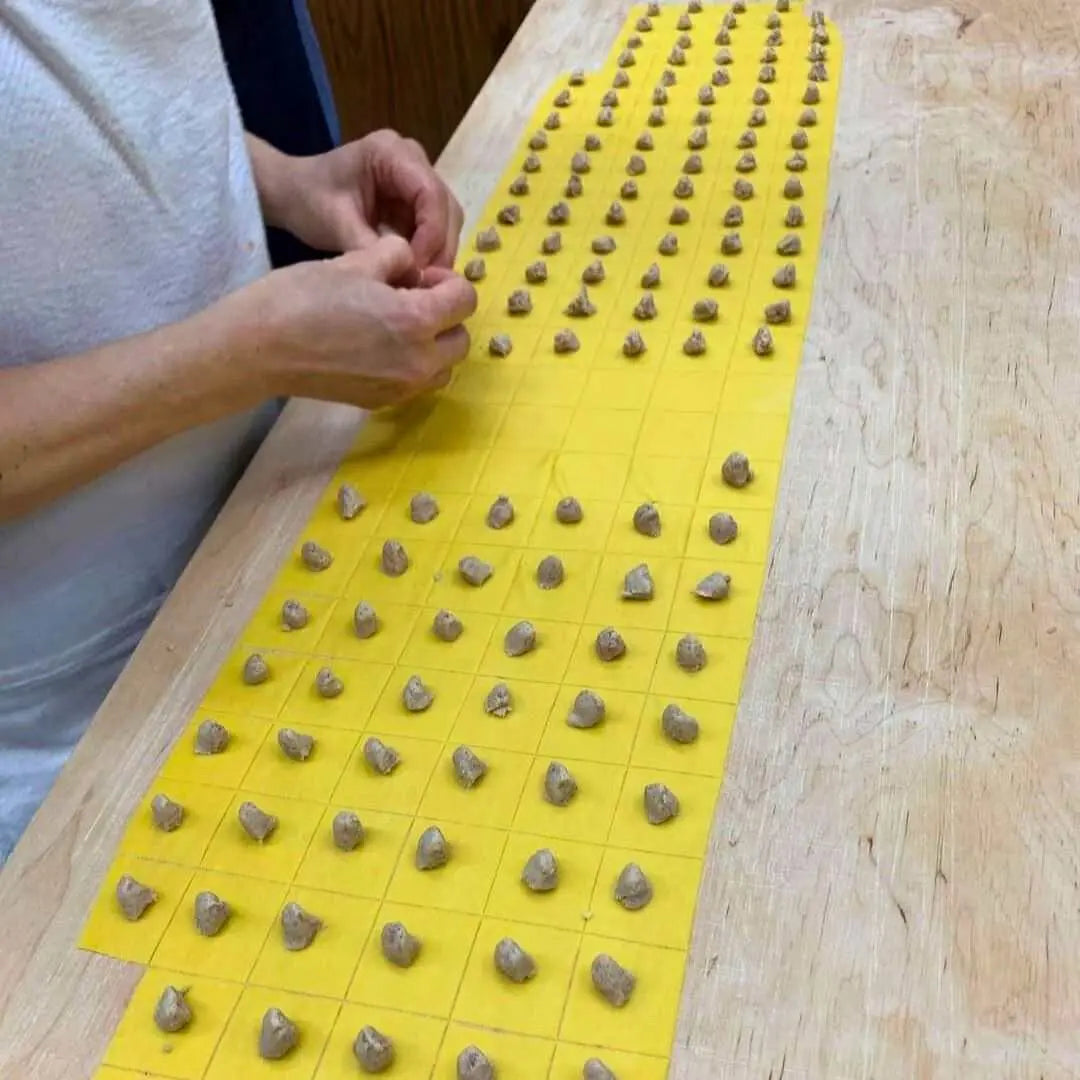 Tortellini Artigianali (solo per l'Italia) La Bottega della Pasta