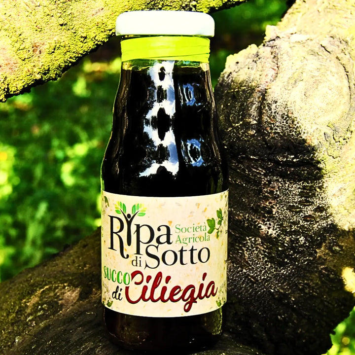 Bottiglia vetro 200ml Succo di Ciliegia 100% Ripa di Sotto
